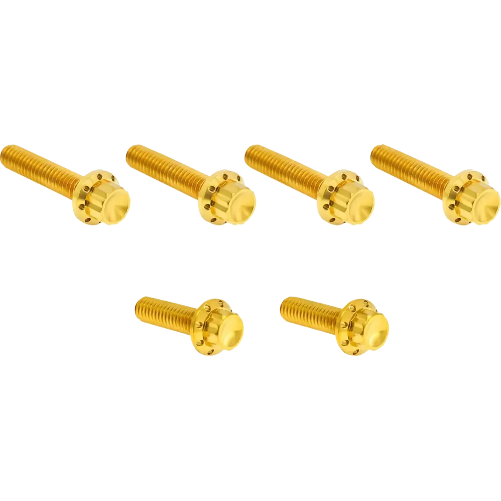 Transmission Side Cover Titanium 12-Point Bolt Kit — Gold, Titanium