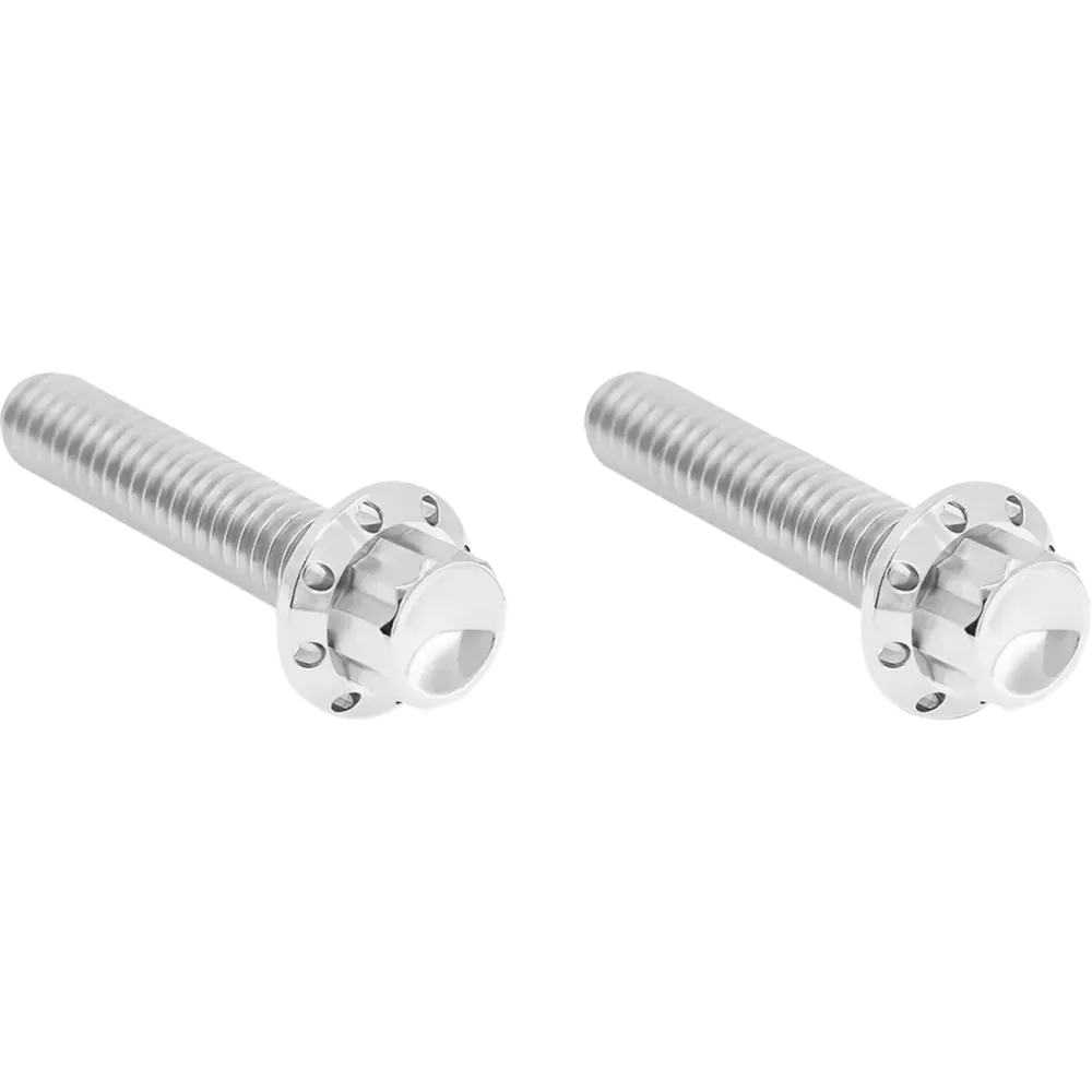 Transmission Side Cover Titanium 12-Point Bolt Cover — Titanium, Polished