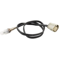 Sensor O2