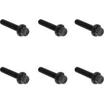 Transmission Side Cover Titanium 12-Point Bolt Kit — Titanium, Black