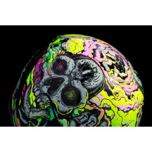 Casco Airform™ Hippy Dippy — Verde, Talla 2XL