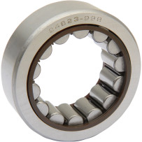 Pinion Shaft Bearing