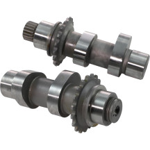 Cam Set for Chain Drive — 21 Series grind, chain drive