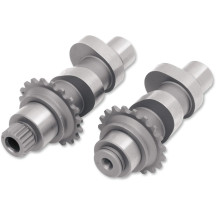 Cam Set for Chain Drive — 21 Series grind, chain drive