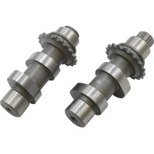 Cam Set for Chain Drive — 31 Series, Intake & Exhaust