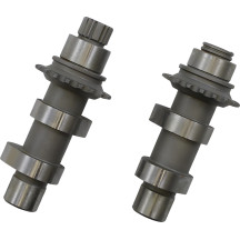 Conversion Chain Driven Cam — N Series, 26 Series grind, Chain Conversion