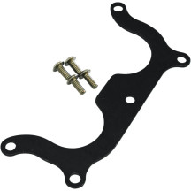 Bearing Retainer Plate — Cam, steel