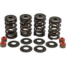 Racing Valve Spring Kit — 0.600" lift, 347 lb open, 148 lb seat