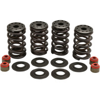 Racing Valve Spring Kit — 0.600" lift, 347 lb open, 148 lb seat