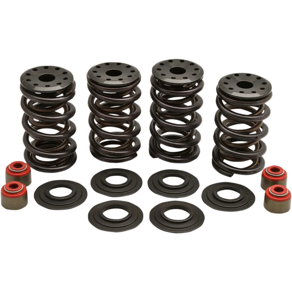 Racing Valve Spring Kit — 0.600" lift, 347 lb open, 148 lb seat