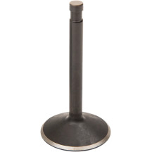 Nitrided Valve — Oversize, 0.3765 in stem, 2.000 in head