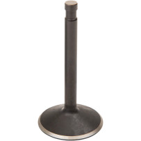 Nitrided Valve — Oversize, 0.3765 in stem, 2.000 in head