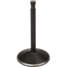 Nitrided Valve — Oversize, Stem 0.3090", Head 2.000"