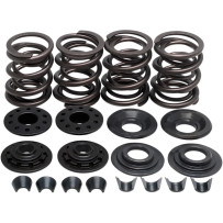 Racing Valve Spring Kit — 0.480" lift, 340 lb open, 158 lb seat
