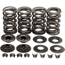 Racing Valve Spring Kit — Lift 0.600", Open pressure 361 lb, Seat pressure 163 lb