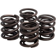 Valve Spring Kit — 0.400" lift, 330 lb open, 95 lb seat, 1.245" valve seat height