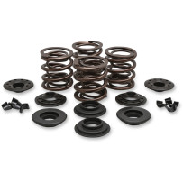 OEM Replacement Valve Spring Kit — 0.415" lift, 270 lb open pressure, 127 lb seat pressure