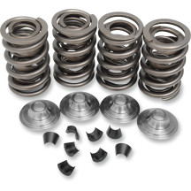 OEM Replacement Valve Spring Kit — Spring lift 0.415 in, Open pressure 272 lb, Seat pressure 129 lb