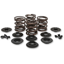 OEM Replacement Valve Spring Kit — 0.415" lift, 272 lb open, 129 lb seat