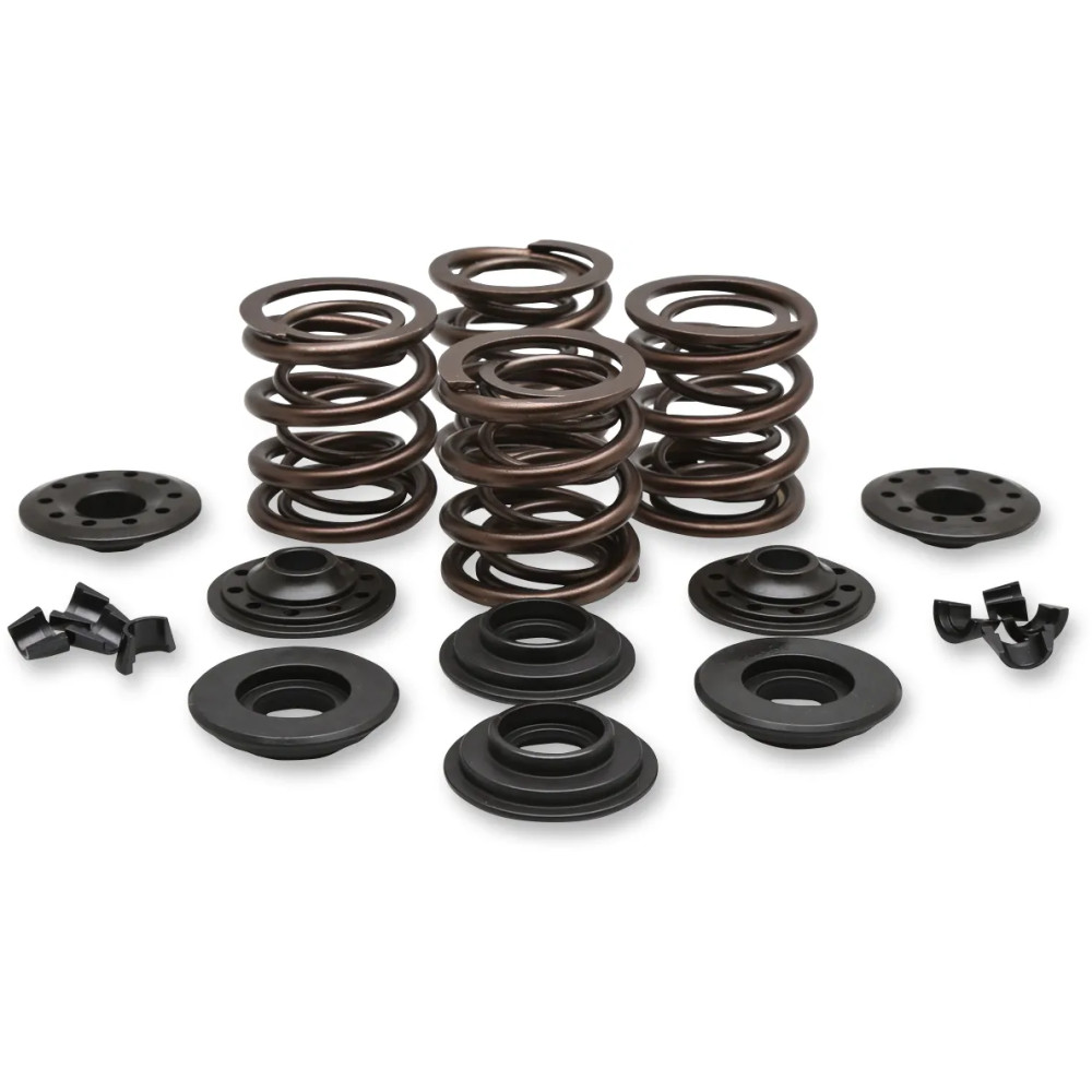 OEM Replacement Valve Spring Kit — 0.415" lift, 272 lb open, 129 lb seat
