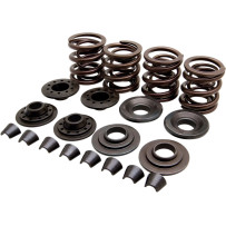 OEM Replacement Valve Spring Kit — Spring lift 0.400", open 330 lb, seat 95 lb