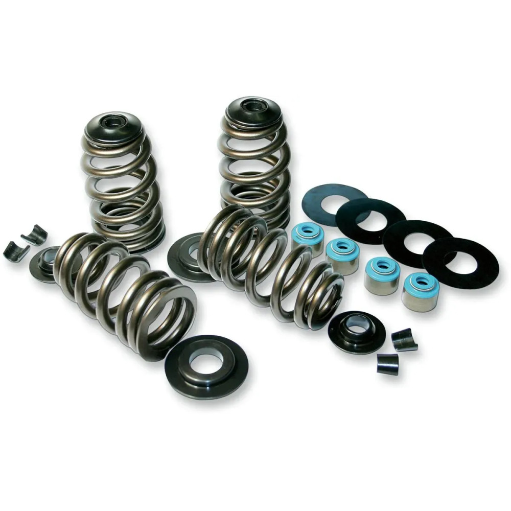 Econo Beehive® Valve Spring Kit — up to 0.585" lift, fits '84-'04 Big Twin, '86-'03 XL, '05-'17 Twin Cam