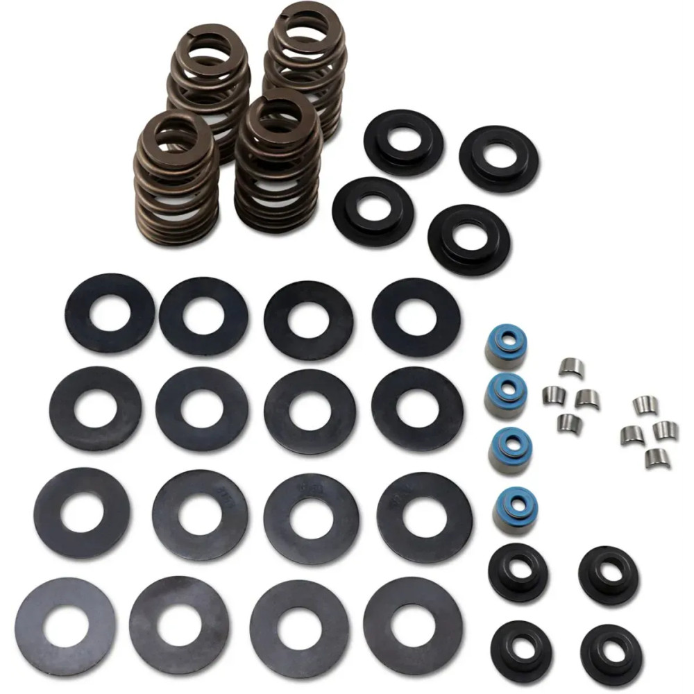 Econo Beehive® Valve Spring Kit — up to 0.585" lift, fits '84–'04 Big Twin, '86–'03 XL ≤0.574", '05–'17 Twin Cam ≤0.585"