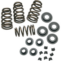 0.650" Sidewinder® Valve Spring Kit — 178 lb seat, 376 lb open