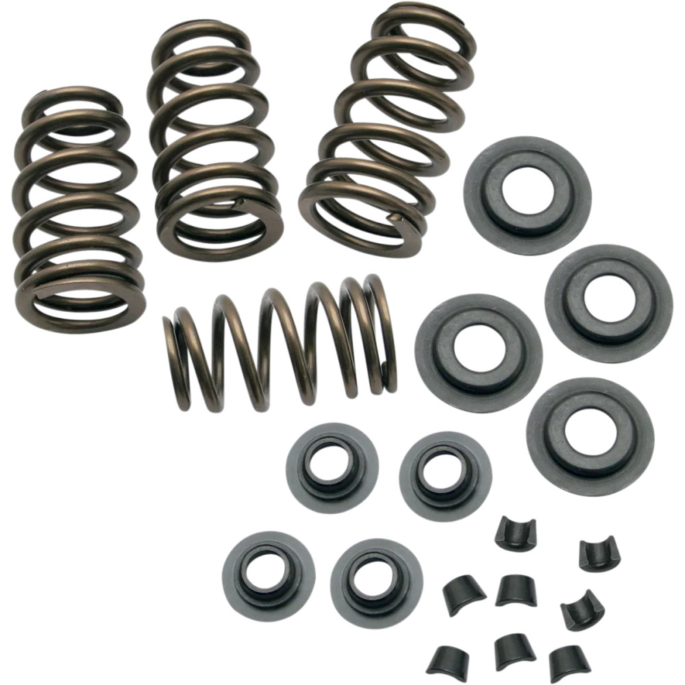 0.650" Sidewinder® Valve Spring Kit — 178 lb seat, 376 lb open