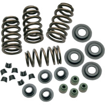 0.650" Sidewinder® Valve Spring Kit — 178 lb seat, 376 lb max