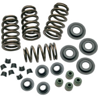 0.650" Sidewinder® Valve Spring Kit — 178 lb seat, 376 lb max