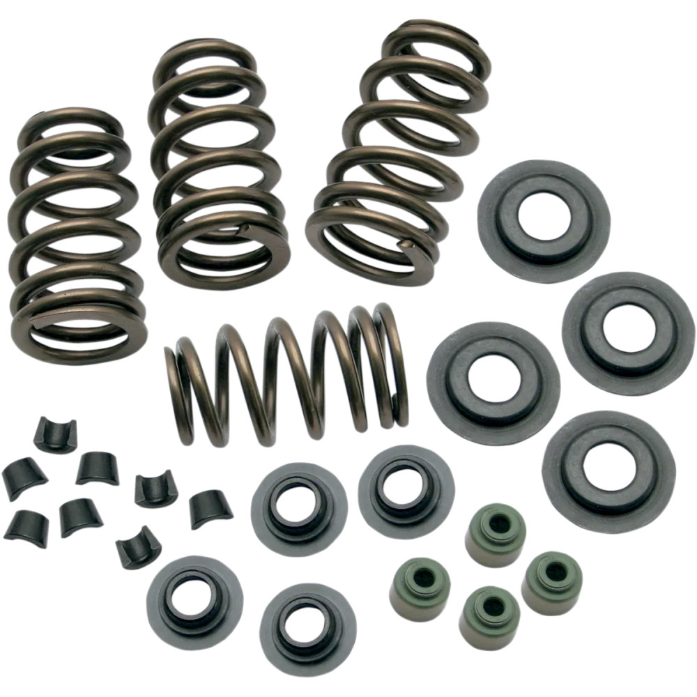 0.650" Sidewinder® Valve Spring Kit — 178 lb seat, 376 lb max