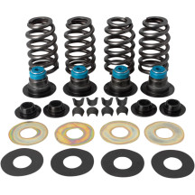 0.585" Street Performance Valve Spring Kit — 325 lb open pressure
