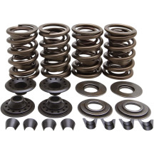 Kit de muelles de válvula de competición — 0,655" recorrido, 450 lb apertura, 185 lb asiento