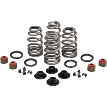 Beehive Valve™ Spring Kit — 0.660" spring lift, 371 lb open, 178 lb seat