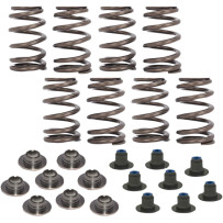 Beehive Valve Spring Kit — 0.540" lift