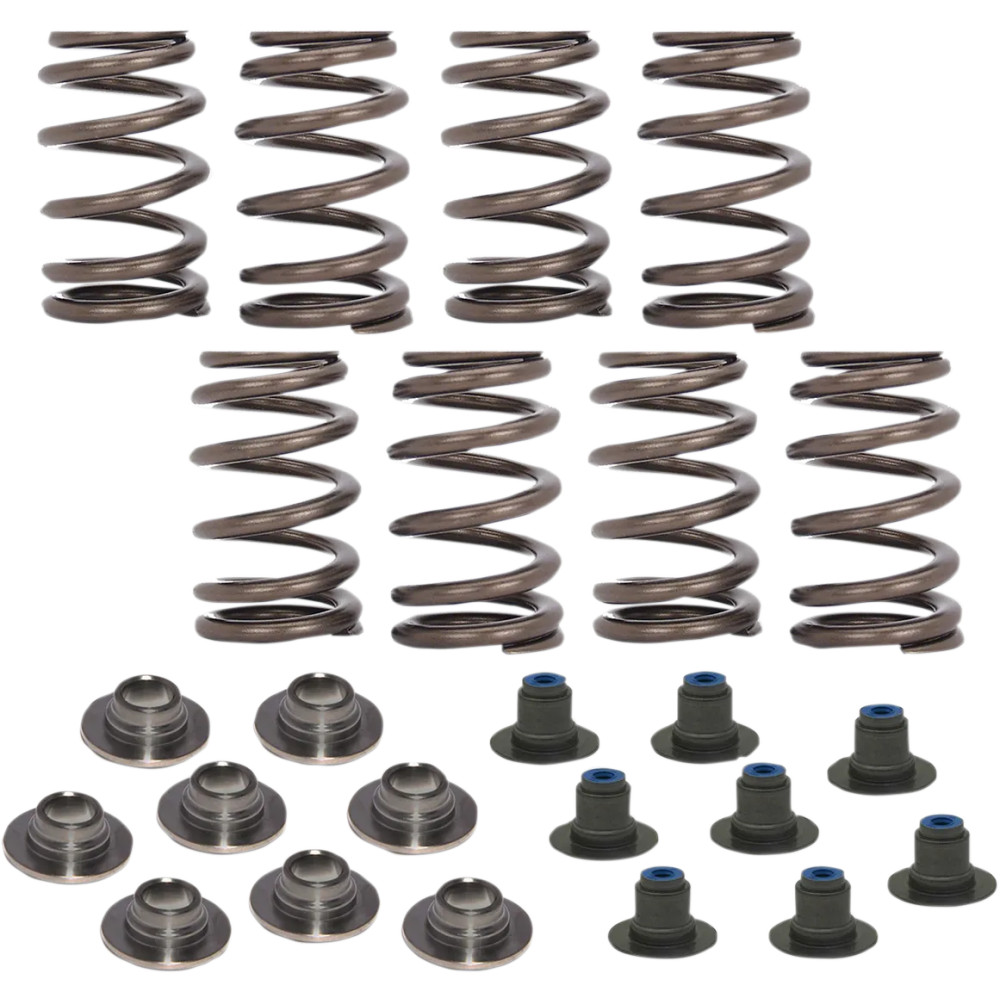 Beehive Valve Spring Kit — 0.540" lift