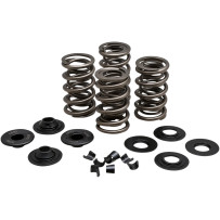 Kit de Muelles de Válvulas de Carreras — elevación 0.650 in, presión abierta 440 lb, presión de asiento 185 lb