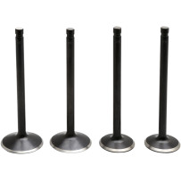 Kit de válvulas de motor Black Diamond™ — Estándar, diámetro vástago Admisión 0.3100" , Escape 0.3095"