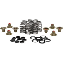Kit de resortes Beehive Valve™ — recorrido 0.625", 280 lb apertura, 85 lb asiento
