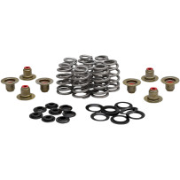 Kit de resortes Beehive Valve™ — recorrido 0.625", 280 lb apertura, 85 lb asiento