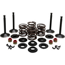 Kit de válvulas de motor — Admisión 49.53 mm, Escape 44.45 mm