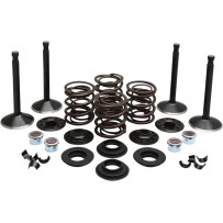 Kit de válvulas de motor — Diámetro de cabeza admisión 1.950" / escape 1.750", Longitud admisión 3.885" / escape 3.810", Black D