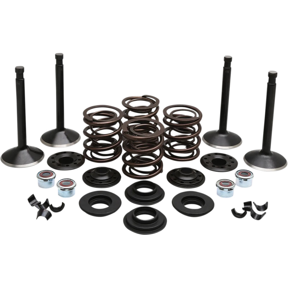Kit de válvulas de motor — Diámetro de cabeza admisión 1.950" / escape 1.750", Longitud admisión 3.885" / escape 3.810", Black D