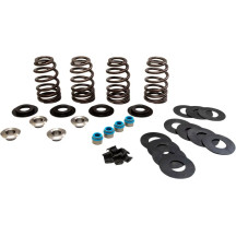 Econo Beehive® Valve Spring Kit — up to 0.585" lift, fits '05-'17 Twin Cam; '84-'04 Big Twin & '86-'03 XL to 0.574"