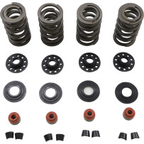 Racing Valve Spring Kit — 0.675" lift, 450 lb open, 185 lb seat