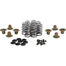 Kit de muelles Beehive Valve™ — Recorrido del muelle 0.640", Presión abierta 285 lb, Presión en asiento 83 lb
