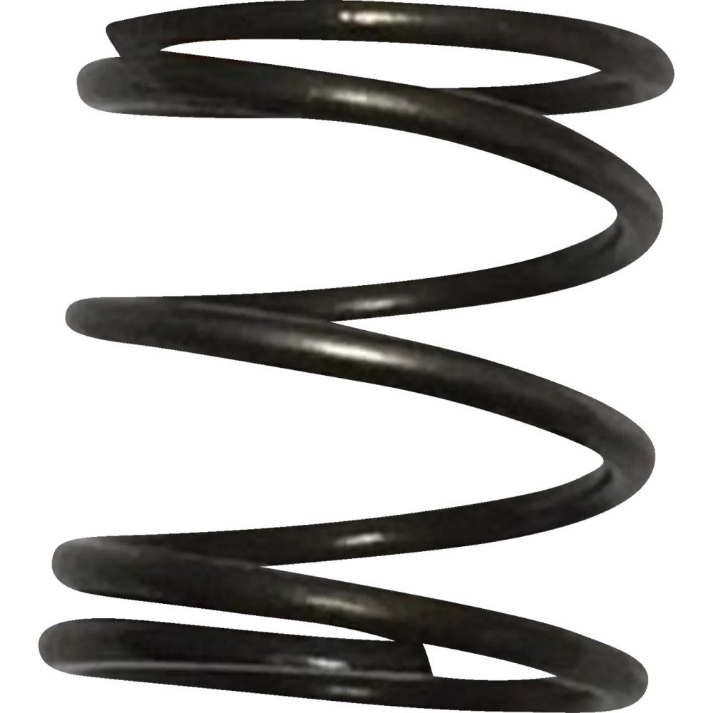 Pushrod Cover Spring — Black, 10 Pack