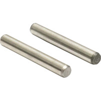 Anti-Rotation Lifter Pins — Standard diameter, 2-Pack