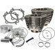 Kits Bolt-In Sidewinder® de 4" Big Bore — 100" de desplazamiento, negro